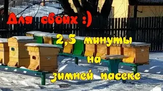 2,5 минуты на ЗИМНЕЙ ПАСЕКЕ. (2.5 minutes in the WINTER APIARY)