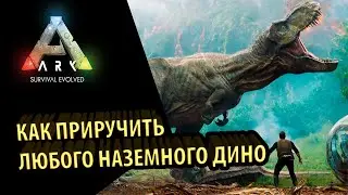 ГАЙД ДЛЯ НОВИЧКОВ: БЕЗОПАСНЫЙ СПОСОБ ПРИТАМИТЬ ( ПРИРУЧИТЬ ) КОГО УГОДНО В ИГРЕ ark survival evolved