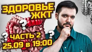 Всё о ЖКТ | Как улучшить работу желудочно-кишечного тракта | ОТВЕТЫ НА ВОПРОСЫ