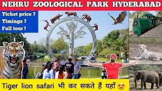 Hyderabad zoo park nehru zoological park hyderabad zoo park all animals | Hyderabad zoo park safari