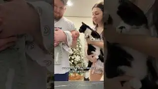 НАШ КОТ ПОХОЖ НА НОВОРОЖДЕННОГО РЕБЕНКА 