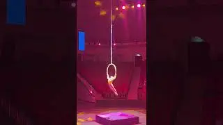 Воздушная гимнастка в кольце/