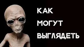 Как могут выглядеть ИНОПЛАНЕТЯНЕ