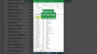 Format Painter in Excel 🎨 