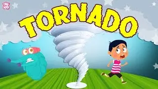 What is a Tornado? The Dr. Binocs Show | Best Learning Videos For Kids | Peekaboo Kidz