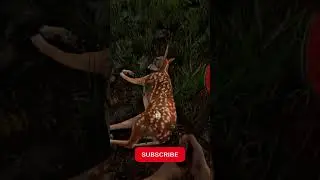 New Way To Hunt - The Forest - 