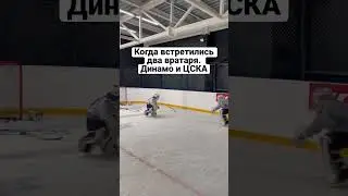 Встреча вратаря из Динамо и ЦСКА #hockey #icehockey #хоккеисты