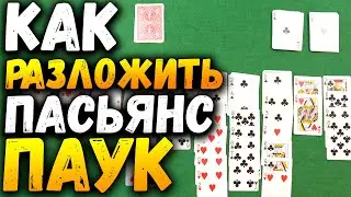 Как Разложить Пасьянс ПАУК / Пасьянсы на Картах Обучение / Игра Паук 