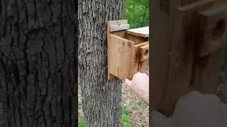 Easy Clean Birdhouse