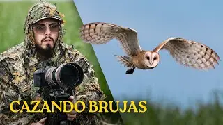 Pasé 8 MESES intentando fotografiar Lechuzas de Campanario 🦉📸