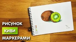 Как нарисовать киви карандашом и скетч маркерами | Рисунок для детей, поэтапно и легко
