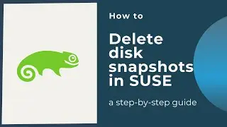 How to delete disk snapshots in SUSE
