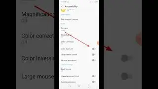 Color Inversion || Color Correction || Smartphone Accessibility Settings || 