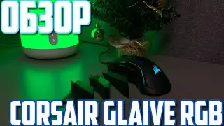 ЛУЧШАЯ ИГРОВАЯ МЫШЬ - Corsair Glaive RGB