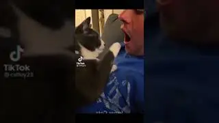 Уии