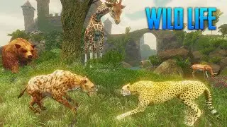 Hyena Wild Life Simulator By Yusibo Simulator Games #1