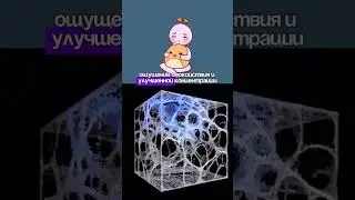 ЕЖОВИК ГРЕБЕНЧАТЫЙ ПРИНИМАЛ 3 месяца (ЭКСПЕРИМЕНТ) | МОЙ ОПЫТ | РАЗВИТИЕ МОЗГА