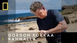 Gordon kokkaa kalaa Puerto Ricossa I Gordon Ramsayn makuseikkailut I National Geographic Suomi