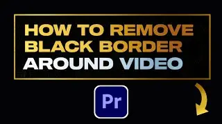 How to Remove Black Border Around Video in Premiere Pro 2024