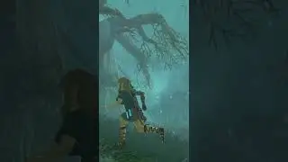 Lost Woods SECRET Boss! 😰 (Tears of the Kingdom)