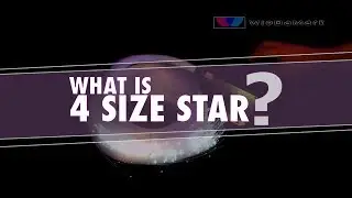 What is 4 Size Star Fiber Bundles?