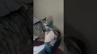 Пусть все малыши с улицы найдут свой дом 💛