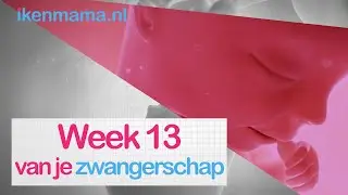 13 weken zwanger | ikenmama.nl