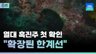 열대 흑진주 첫 확인..."확장된 한계선"  /JIBS /제주/2024.09.19