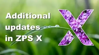 Additional updates in ZPS X