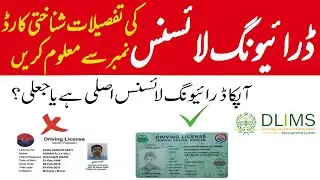 How to Verify Your Driving License Online | DLIMS Punjab Online Driving License Verification