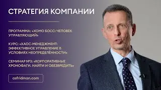 Стратегия компании