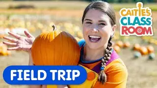 Let's Visit A Pumpkin Patch! | Caitie's Classroom Field Trips | Learn How To Make A Jack O'Lantern