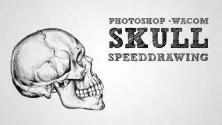 Wacom speed art - Sketching realistic skull using the crosshatch method