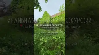 Куда поехать в отпуск? В Калининград, увидеть Балтийское море, побывать на Куршской косе 