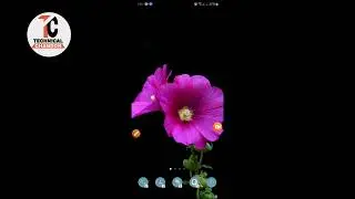 18+কিভাবে যেকোনো ব্লক হওয়া পর্ন সাইট দেখবেন ! How to open porn site | technical chandon
