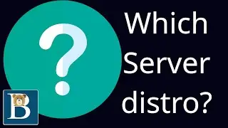 Which is the best Linux server distro for a beginner