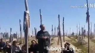 ДУНЁИ БЕВАФО