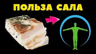 🍽 👍 9 ПРИЧИН ЕСТЬ САЛО КАЖДЫЙ ДЕНЬ / ЧЕМ ПОЛЕЗНО САЛО/ ПОЛЬЗА САЛА