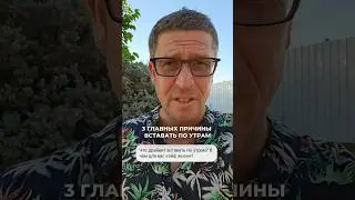 3 главных причины вставать по утрам