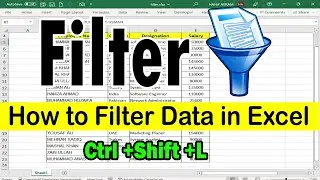 How to Filter Data in MS Excel | Filtering data in MS Excel