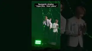 Seungmin singing to Hype Boy- New Jeans (Stray kids concert Jakarta)