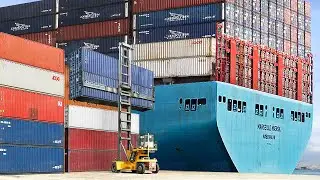 The Genius Solutions Seaports Found to Load World Largest Container Ships