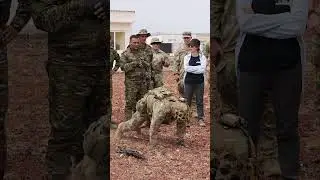 U S  and Armenian Military Conduct a Live Fire Exercise in Armavir, Armenia, July 2024