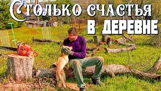 Вы точно оцените этот день у художника в деревне!