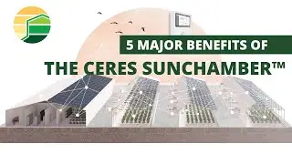 Five Reasons to Choose a SunChamber™ for Your Cannabis Operation