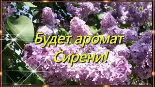 "Привет! Чудесного денечка!"Красивое музыкальное видео.