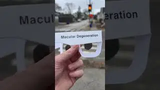 Vision Simulation of Various Eye Conditions When Looking at Pedestrian Signals 