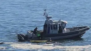 Car goes over West Cliff in Santa Cruz, injuries unknown