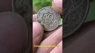 Поиск с металлоискателем!!!