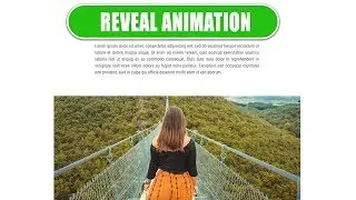 Reveal The Animation on Scroll using the Modern Technologies - Website Design